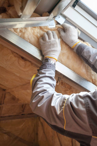 Best Residential Insulation in Geneva, NY