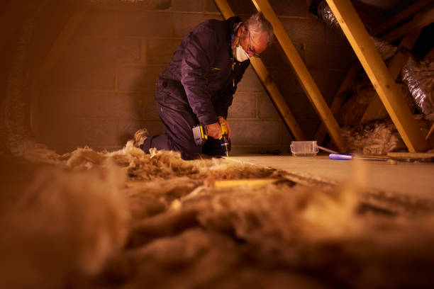 Types of Insulation We Offer in Geneva, NY