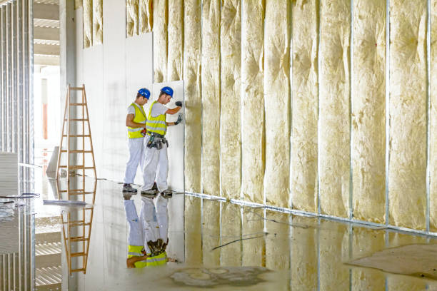 Best Blown-in Insulation in Geneva, NY